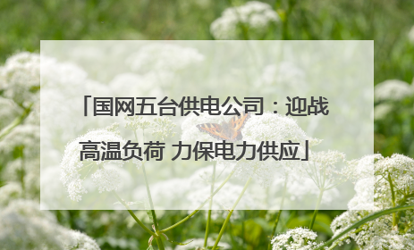 国网五台供电公司：迎战高温负荷 力保电力供应