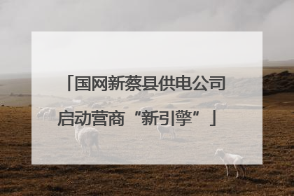 国网新蔡县供电公司启动营商“新引擎”