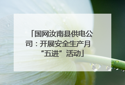 国网汝南县供电公司：开展安全生产月“五进”活动