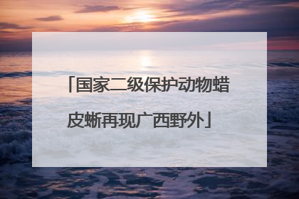 国家二级保护动物蜡皮蜥再现广西野外