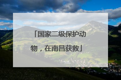 国家二级保护动物，在南昌获救