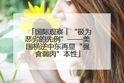 国际观察丨“极为恶劣的先例”——美国横逆中东再显“强食弱肉”本性