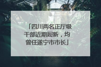 四川两名正厅级干部近期履新，均曾任遂宁市市长