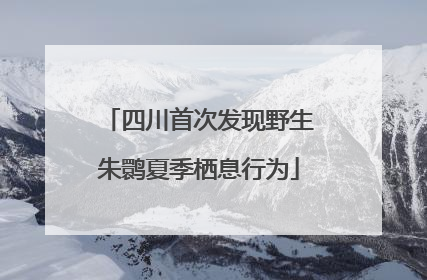 四川首次发现野生朱鹮夏季栖息行为