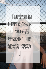 团宁夏银川市委举办“AI+青年就业”技能培训活动