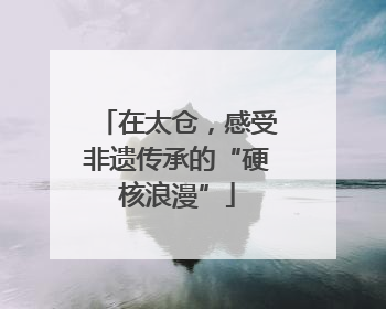 在太仓，感受非遗传承的“硬核浪漫”