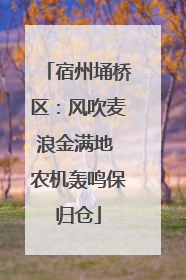 宿州埇桥区：风吹麦浪金满地 农机轰鸣保归仓