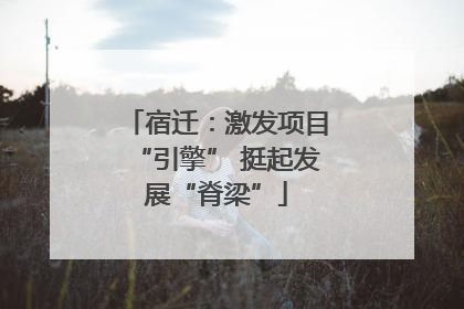 宿迁：激发项目“引擎” 挺起发展“脊梁”
