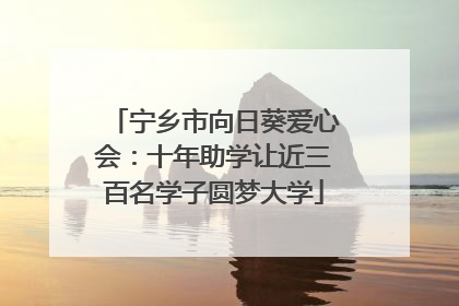 宁乡市向日葵爱心会：十年助学让近三百名学子圆梦大学