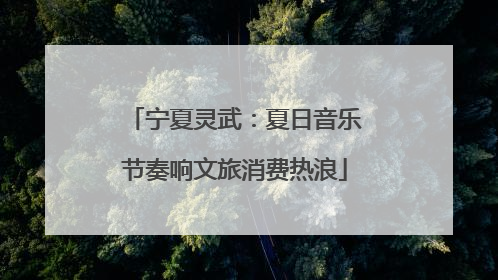 宁夏灵武：夏日音乐节奏响文旅消费热浪