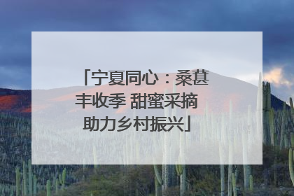 宁夏同心：桑葚丰收季 甜蜜采摘助力乡村振兴