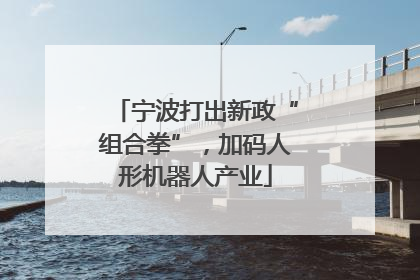 宁波打出新政“组合拳”，加码人形机器人产业