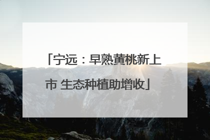宁远：早熟黄桃新上市 生态种植助增收