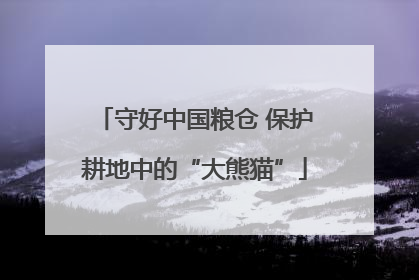 守好中国粮仓 保护耕地中的“大熊猫”