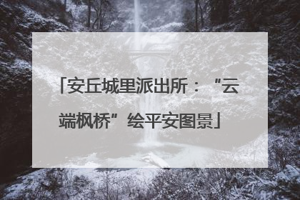 安丘城里派出所：“云端枫桥”绘平安图景