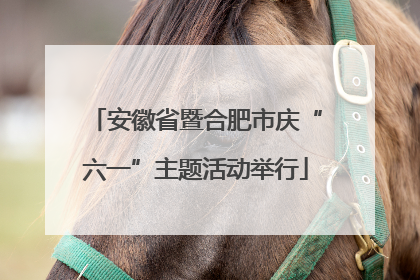 安徽省暨合肥市庆“六一”主题活动举行