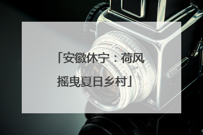 安徽休宁：荷风摇曳夏日乡村