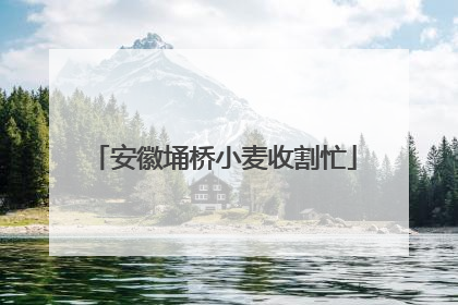 安徽埇桥小麦收割忙