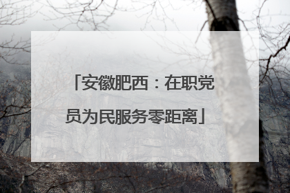 安徽肥西：在职党员为民服务零距离