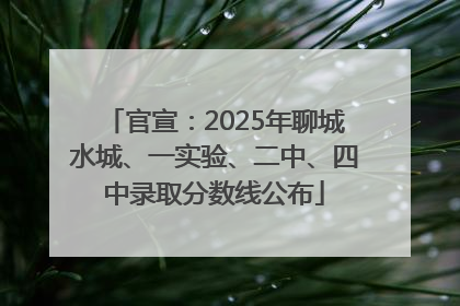 官宣：2025年聊城水城、一实验、二中、四中录取分数线公布