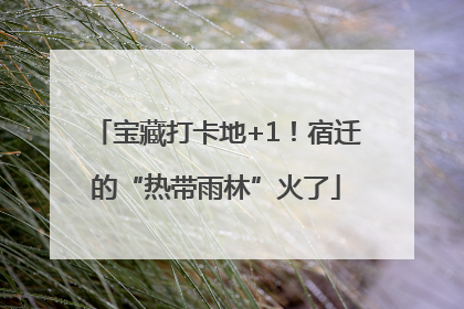 宝藏打卡地+1！宿迁的“热带雨林”火了
