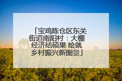宝鸡陈仓区东关街道南阳村：大棚经济结硕果 绘就乡村振兴新图景