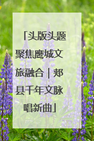 头版头题聚焦鹰城文旅融合｜郏县千年文脉唱新曲