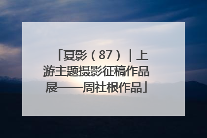 夏影（87）｜上游主题摄影征稿作品展——周社根作品