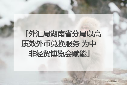 外汇局湖南省分局以高质效外币兑换服务 为中非经贸博览会赋能