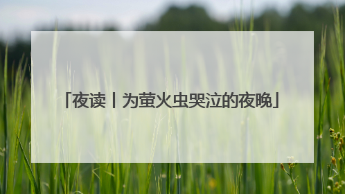 夜读丨为萤火虫哭泣的夜晚