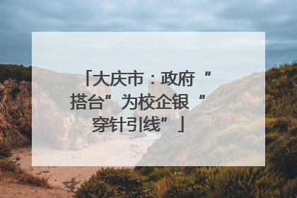 大庆市：政府“搭台”为校企银“穿针引线”