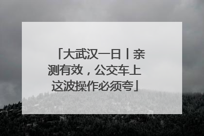 大武汉一日丨亲测有效，公交车上这波操作必须夸