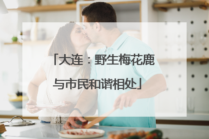 大连:野生梅花鹿与市民和谐相处