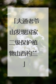 大通老爷山发现国家二级保护植物山西杓兰