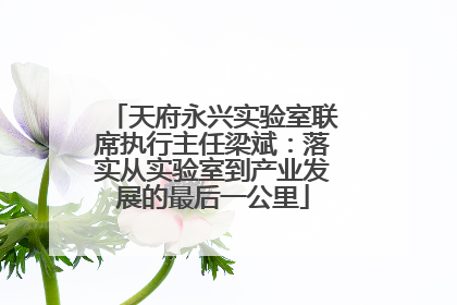 天府永兴实验室联席执行主任梁斌：落实从实验室到产业发展的最后一公里