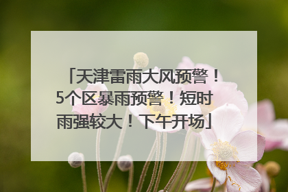 天津雷雨大风预警！5个区暴雨预警！短时雨强较大！下午开场
