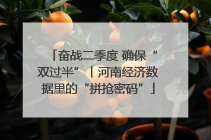 奋战二季度 确保“双过半”丨河南经济数据里的“拼抢密码”