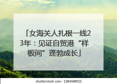 女海关人扎根一线23年：见证自贸港“样板间”蓬勃成长