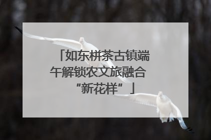 如东栟茶古镇端午解锁农文旅融合“新花样”