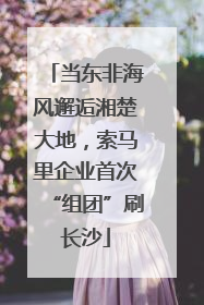 当东非海风邂逅湘楚大地，索马里企业首次“组团”刷长沙