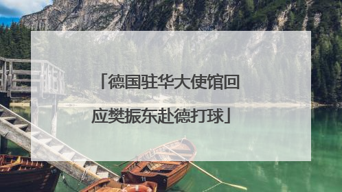 德国驻华大使馆回应樊振东赴德打球