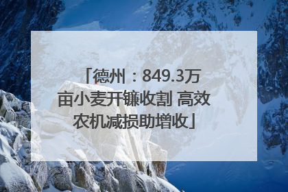 德州：849.3万亩小麦开镰收割 高效农机减损助增收