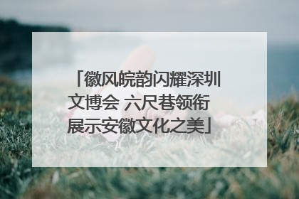 徽风皖韵闪耀深圳文博会 六尺巷领衔展示安徽文化之美