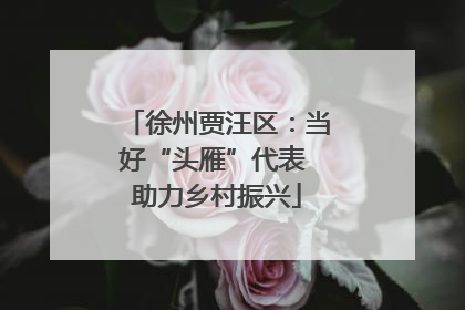 徐州贾汪区：当好“头雁”代表 助力乡村振兴