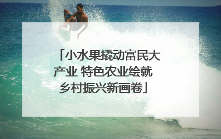 小水果撬动富民大产业 特色农业绘就乡村振兴新画卷
