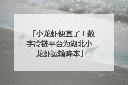 小龙虾便宜了！数字冷链平台为湖北小龙虾运输降本