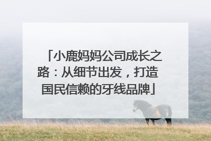 小鹿妈妈公司成长之路：从细节出发，打造国民信赖的牙线品牌