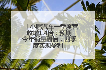 小鹏汽车一季度营收增1.4倍：预期今年销量翻倍，四季度实现盈利