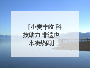 小麦丰收 科技助力 非遗也来凑热闹