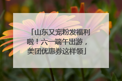 山东又宠粉发福利啦！六一端午出游，美团优惠券这样领